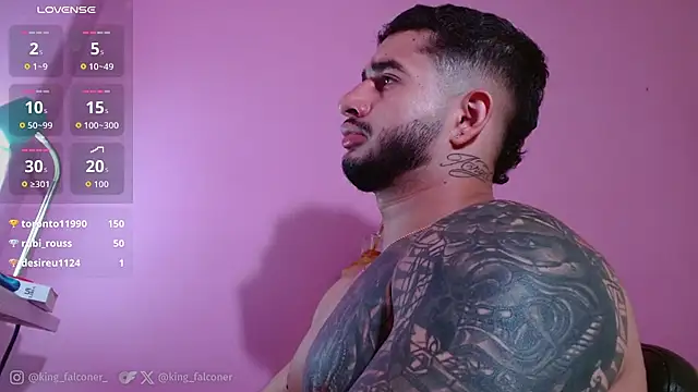 king_falconer webcam