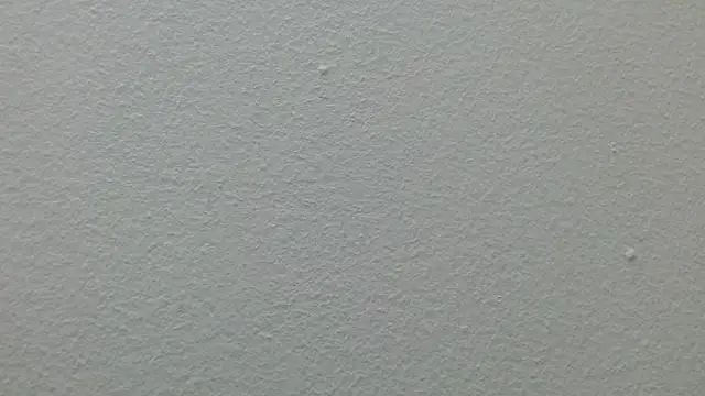 CaballeroNocturno_ webcam