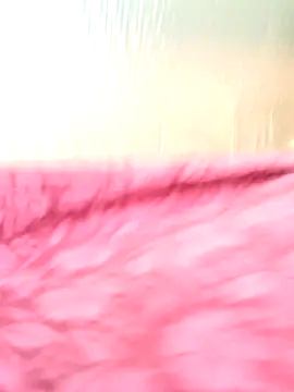 Legend_choice webcam