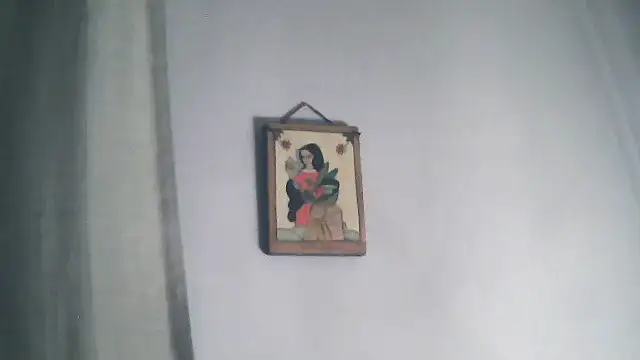 vanessasexydancer webcam