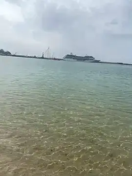 coravibes - CoraVibes's free webcam - UK Sex Cams