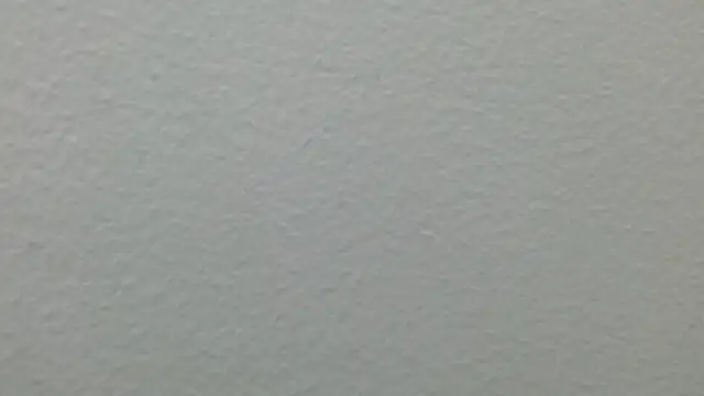 CaballeroNocturno_ webcam