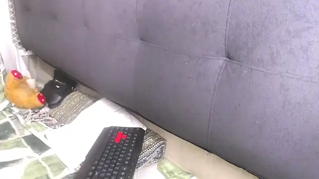 Longniplzerx40 webcam