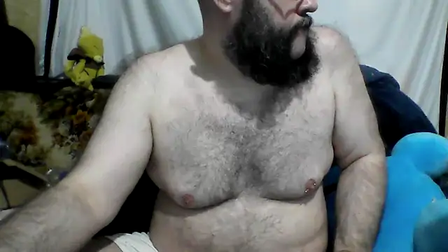 BriTheTopBear webcam