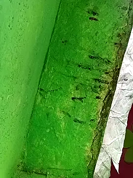 Riyakumari_hot66 webcam