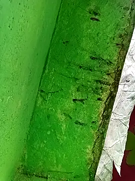 Riyakumari_hot66 webcam