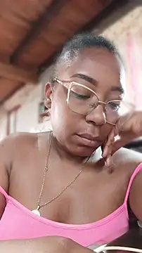 ChanneldelaCroix webcam