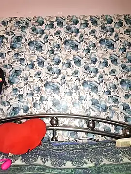 _DesigirlRoshni webcam