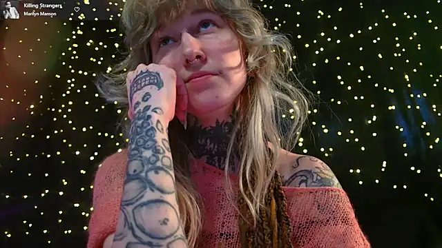 Littlespacemouse webcam