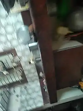 Vickyins480000 webcam