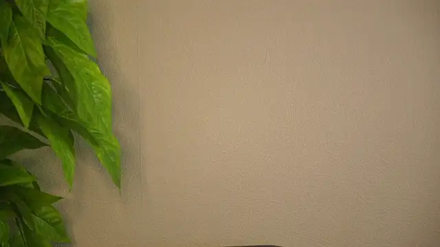 ShelbaCarrahan webcam