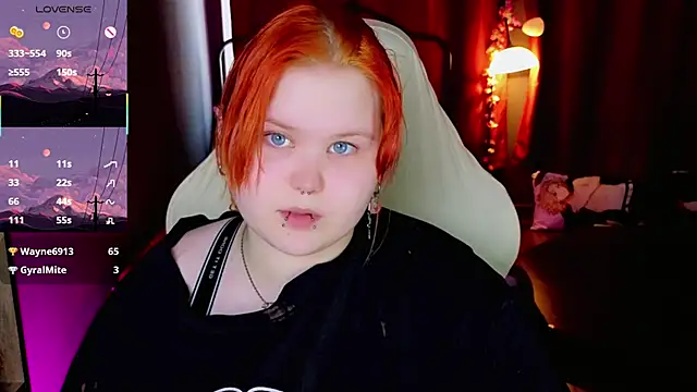 fillisfox_ webcam