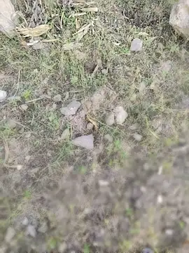 karandeep_Bhagat webcam