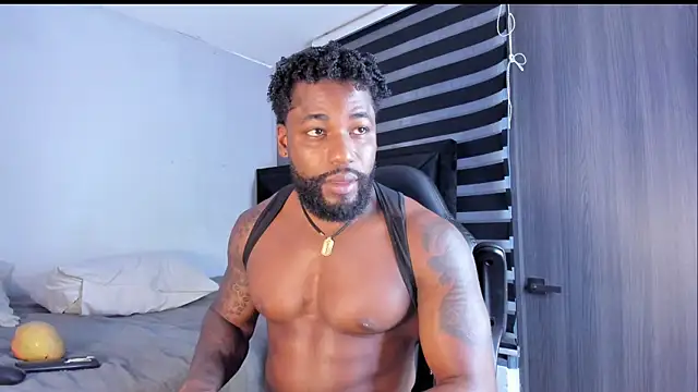 Dancelwashington webcam