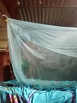 single_kitten webcam