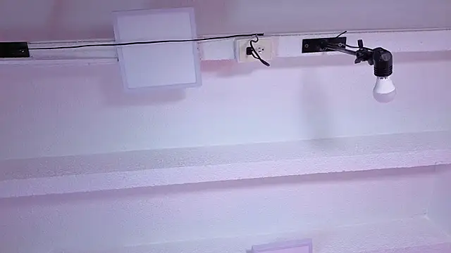 Anny_Doll_ — stripchat