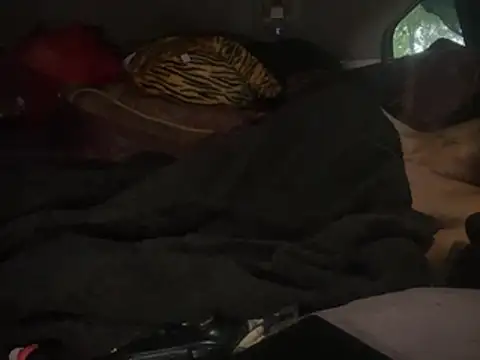 SlimeCrownzOut5 webcam