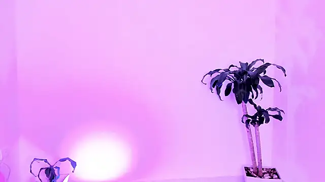 Varya_Ferreira webcam