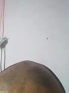 cobrosdepagos webcam