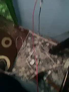 Daniel_cornel webcam