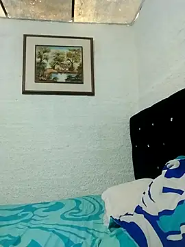 ElizabethWeil webcam