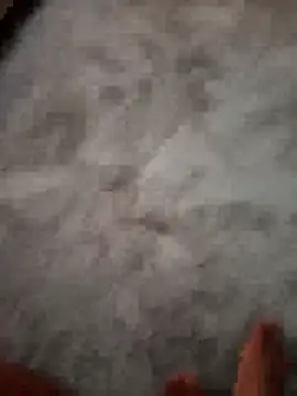 Desii_rockstarr webcam