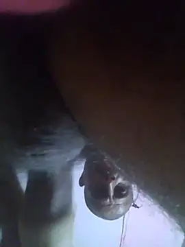 cobrosdepagos webcam