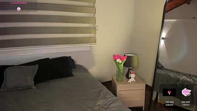 MERIDA_TAYLOR webcam