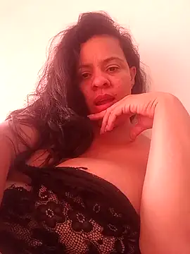 lapatronav2026 webcam