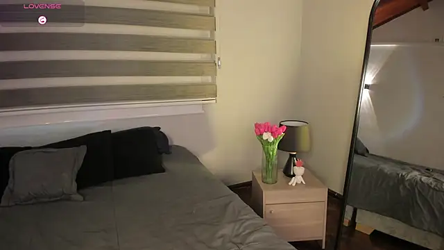 MERIDA_TAYLOR webcam