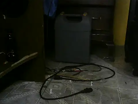 nine9inchdonn webcam