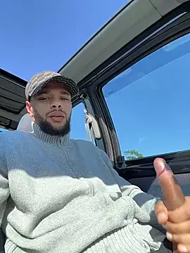 Preview of lionayowe