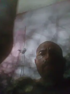 cobrosdepagos webcam