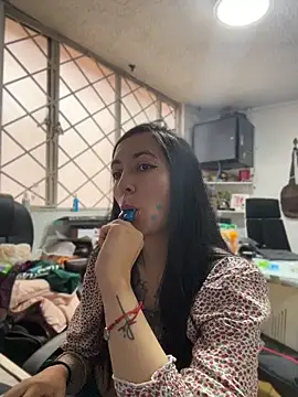 SALOME_KORLAND webcam