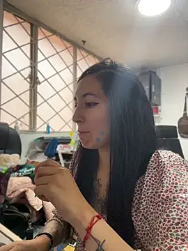 SALOME_KORLAND webcam