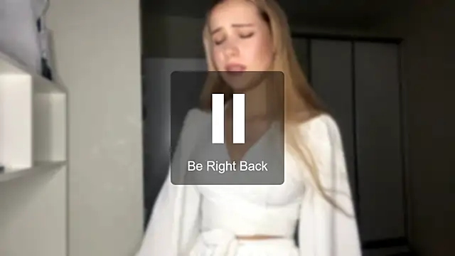 LevelledPilot webcam