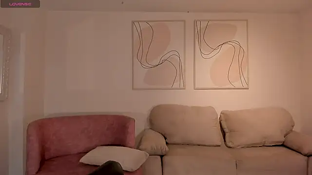 ChristineFord_ webcam