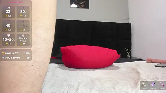 _Alan_Walker_1 webcam