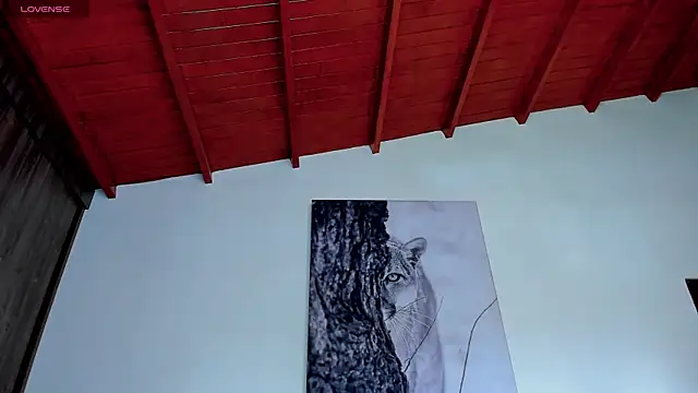 Santos_ramirez1 webcam