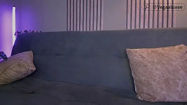 VegaLuxe webcam