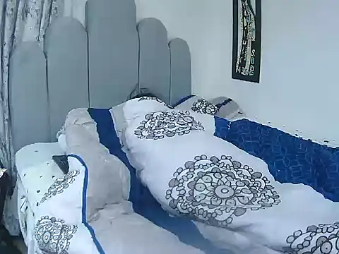 DarkMorningstarX webcam