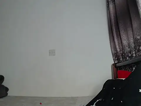 Whimsicalwillow webcam