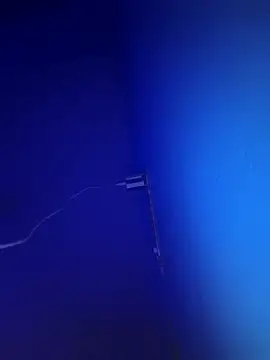 villageanuty (F milf) - Ticket Show