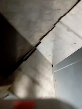 hassan8111 (M young) - القذف