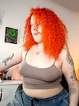 Alaska_colors7 webcam