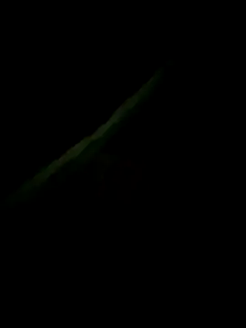 Bengali_Boy75 webcam