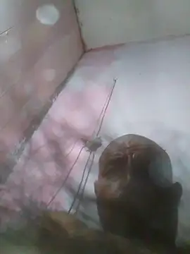 cobrosdepagos webcam