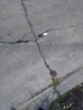 userknowarg (M twink) - Mí primer sueldo c: