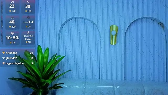 angele_roux_tp webcam