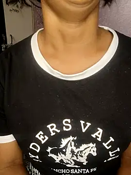 Mini_explorer webcam